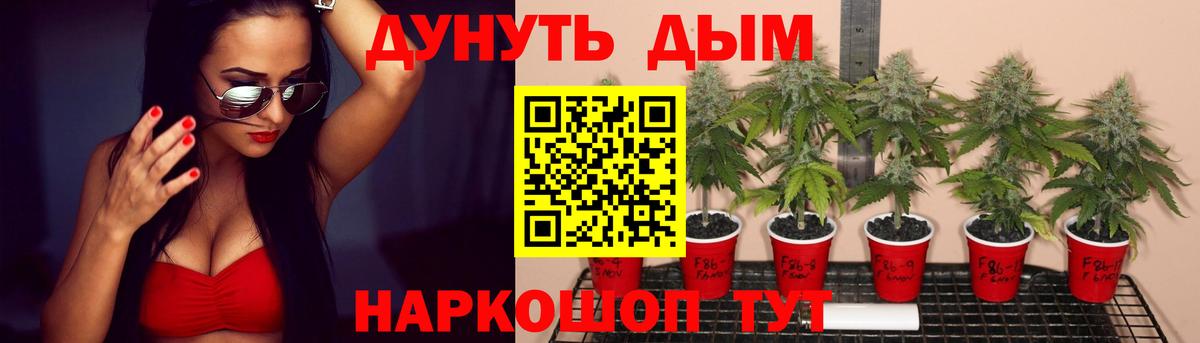 Шишки марихуана план  Конопля OG Kush  Кудымкар  Вход с VPN  Бошки Шишки Bruce Banner 